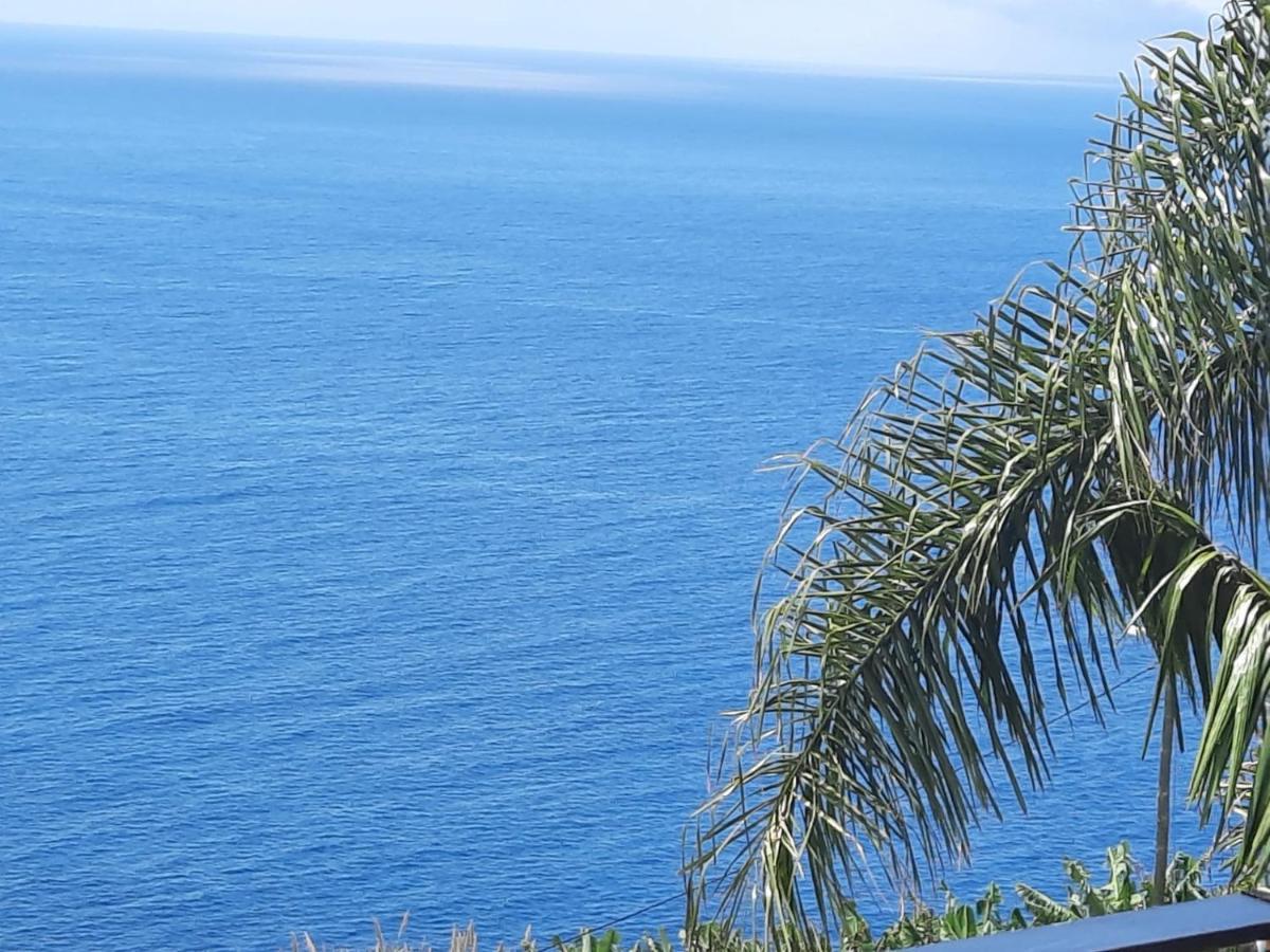 Apartment Zeza's Sky Calheta (Madeira)